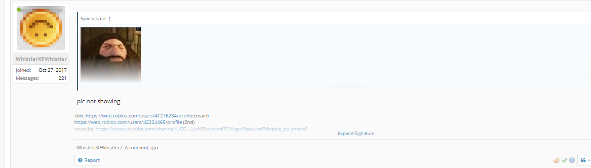 Random Pictures Page 7 Beamng - roblox 25092019 184413
