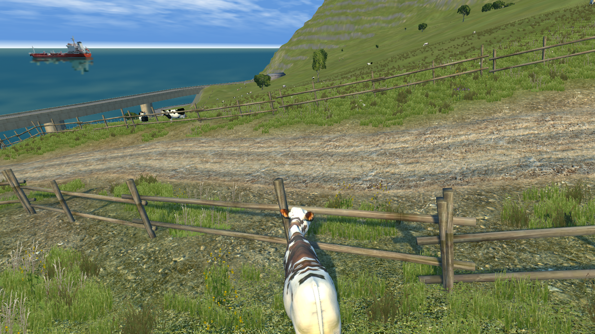 stairway mountain4.png