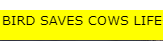 upload_2021-1-13_14-0-55.png