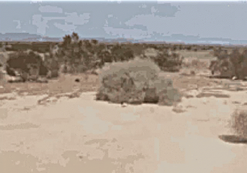 upload_2022-4-14_21-15-38.gif