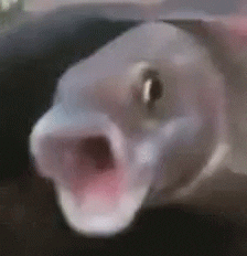 upload_2022-6-21_10-16-47.gif