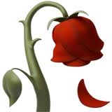 upload_2025-5-5_17-7-28.jpeg