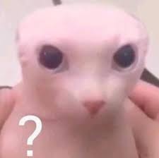 upload_2025-6-16_18-28-58.jpeg