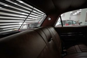 08178F4442744BCD990DAA41E0DC6BC7.jpg