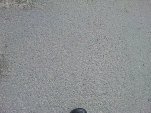 Tarmac [original].jpg