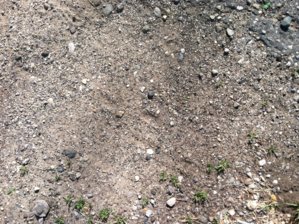 dirt1.JPG
