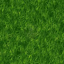 Grass texture.jpg