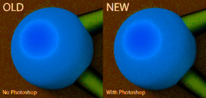 Orange orb crazy (credit= Nadeox1).jpg