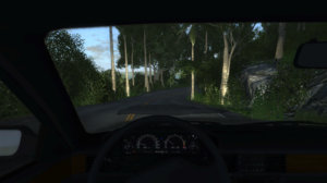 nightdriving.jpg