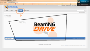 BeamNG site bug.png