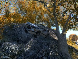 Car stuck on tree.jpg