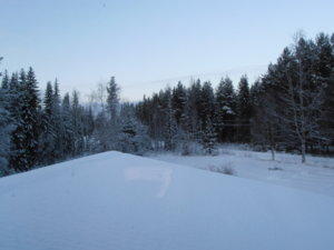 PC200107.JPG