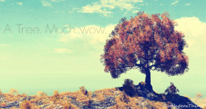 TheVeryBestPicture.jpg
