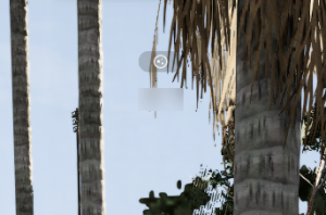 Screenshot2023-05-08120440.png
