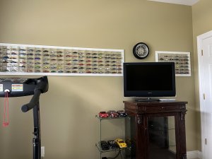 IMG_2225.jpg