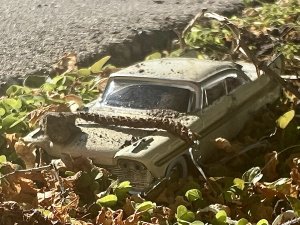 IMG_4051.jpeg