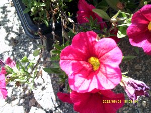 DSCF0084.jpg