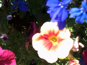 DSCF0085.jpg