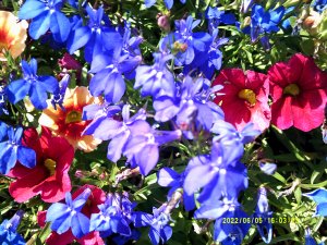 DSCF0086.jpg