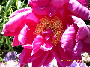 DSCF0088.jpg