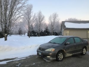 IMG_3519.jpeg