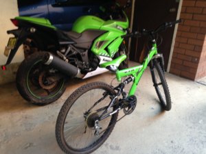IMG_0306[1].JPG