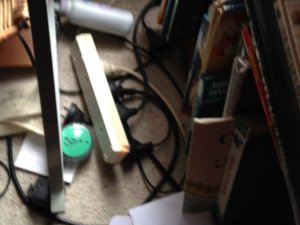 IMG_0316[1].JPG
