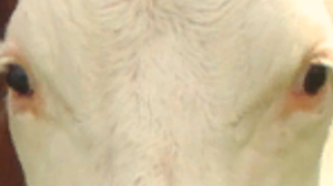 screenshot_00622.png