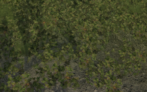 screenshot_00001.png