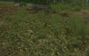 screenshot_00002.png