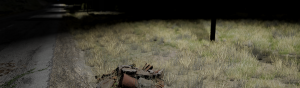 night.png