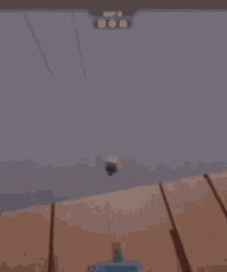 DA196D13-2D96-40D8-BB36-11D877F648F7.gif
