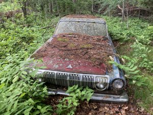 IMG_1472.jpeg