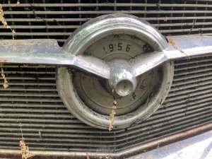 IMG_1476.jpeg