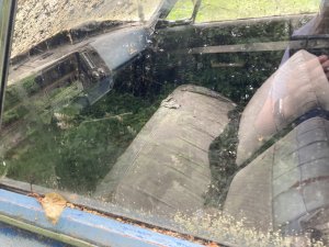 IMG_1478.jpeg