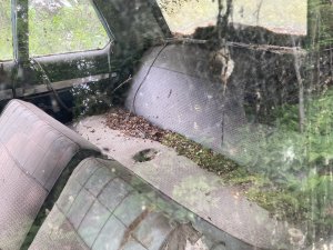 IMG_1480.jpeg