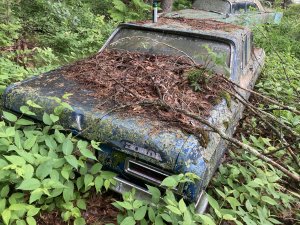 IMG_1481.jpeg