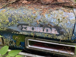 IMG_1482.jpeg