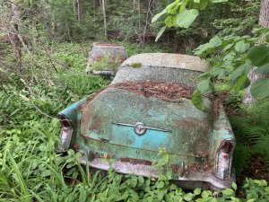 IMG_1485.jpeg