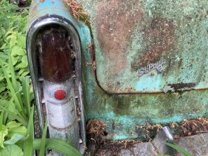 IMG_1496.jpeg
