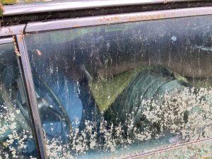 IMG_1499.jpeg