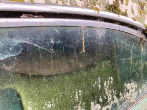 IMG_1500.jpeg