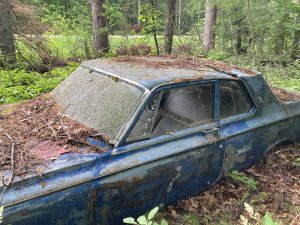 IMG_1497.jpeg