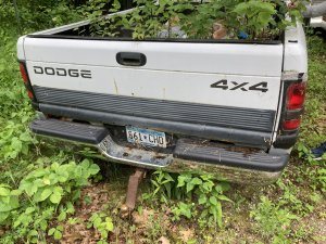 IMG_1493.jpeg
