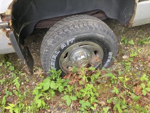 IMG_1494.jpeg