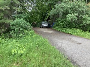 IMG_1495.jpeg