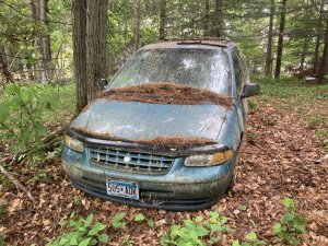 IMG_1486.jpeg