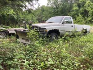 IMG_3615.jpeg