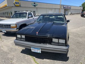 IMG_3625.jpeg