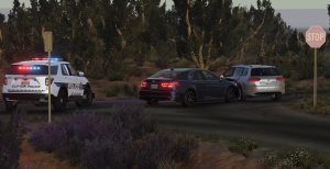 screenshot_2023-06-16_13-34-28.png
